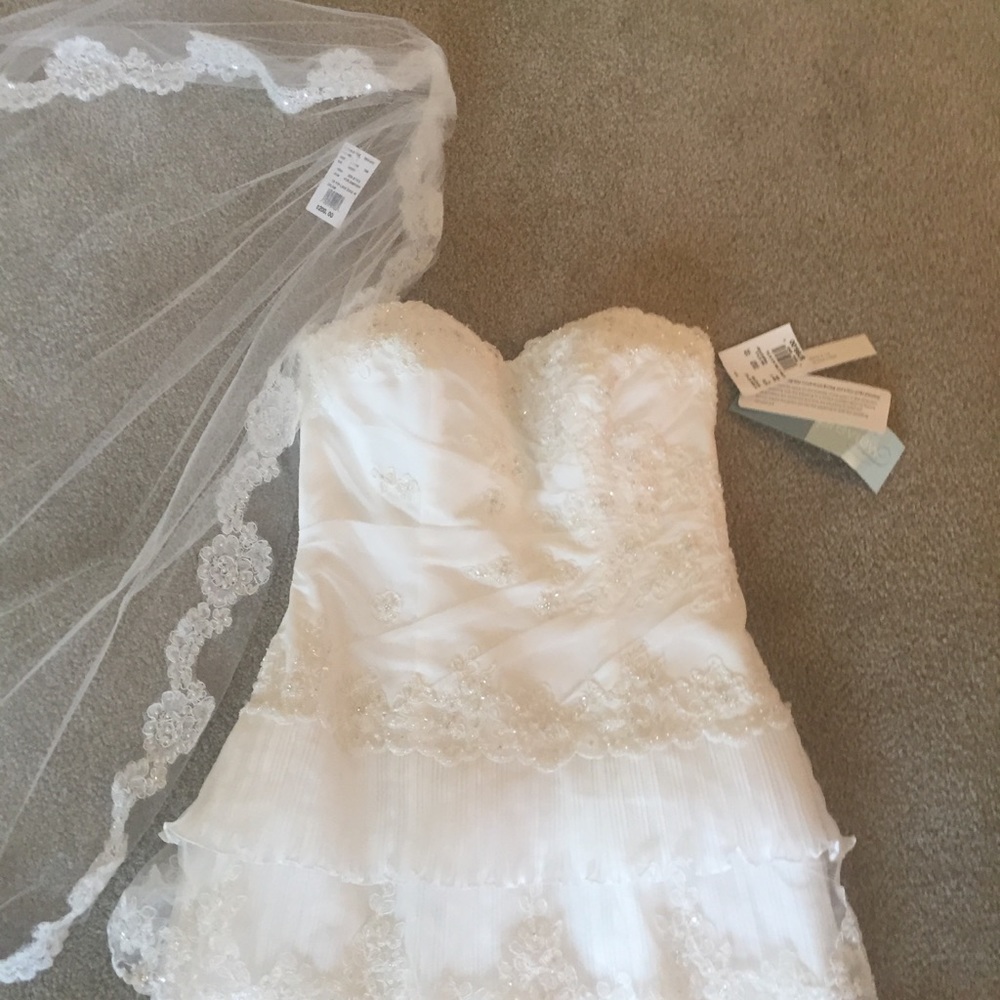 David’s Bridal Ivory Wedding Gown and Head Piece - Picture 2 of 8